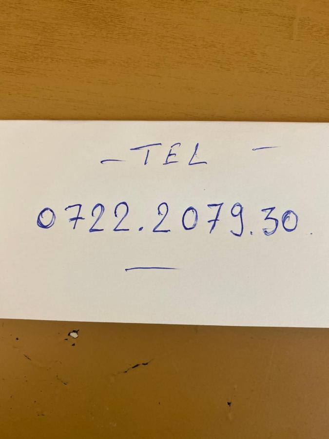 Pensiunea Damiro Orsova Bagian luar foto
